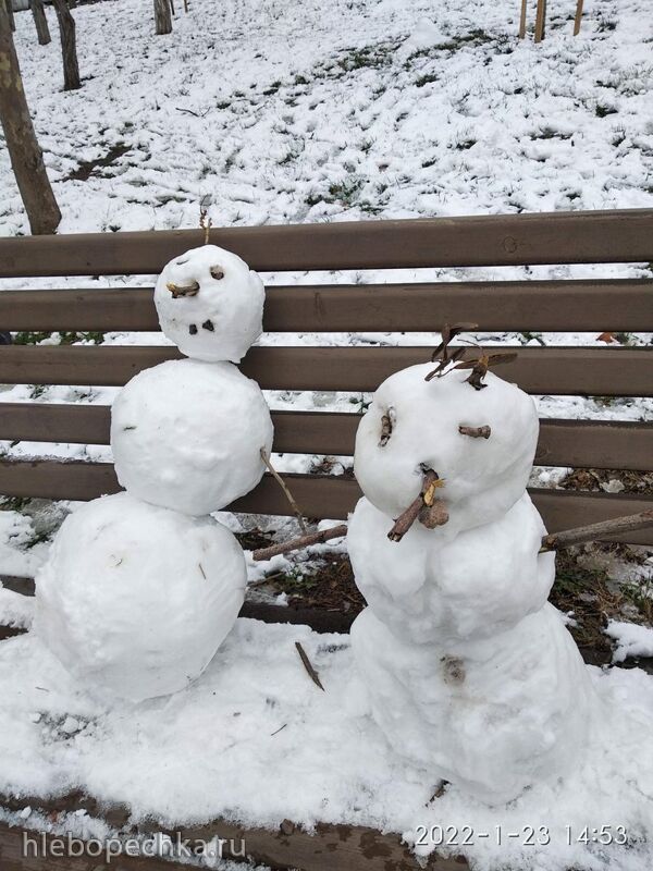 Кафе «У пани Сони»