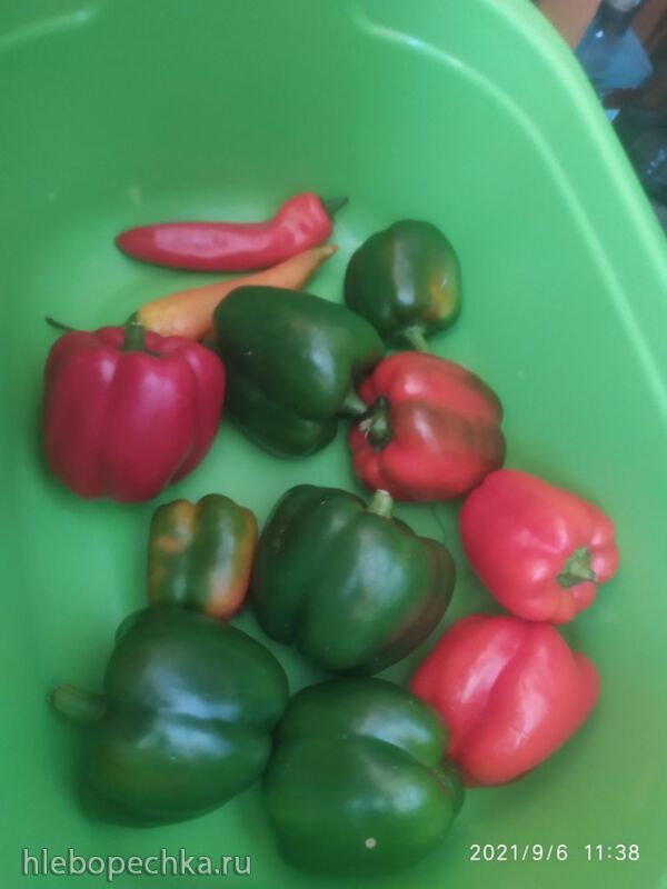 Чайная беседка