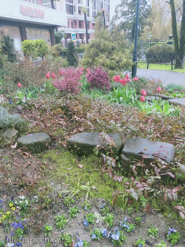 Tapтaлeтки & Ко