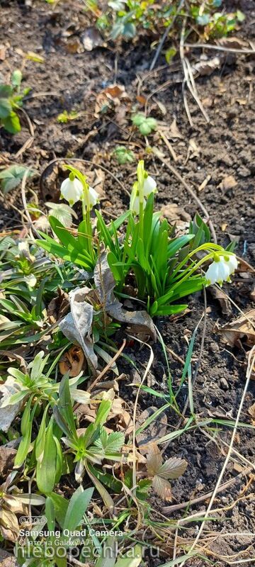 Tapтaлeтки & Ко