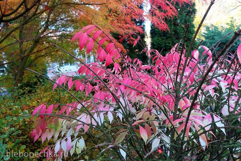 Ну здравствуй, Калининград! 35 лет спустя