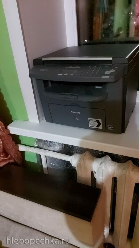 Tapтaлeтки & Ко