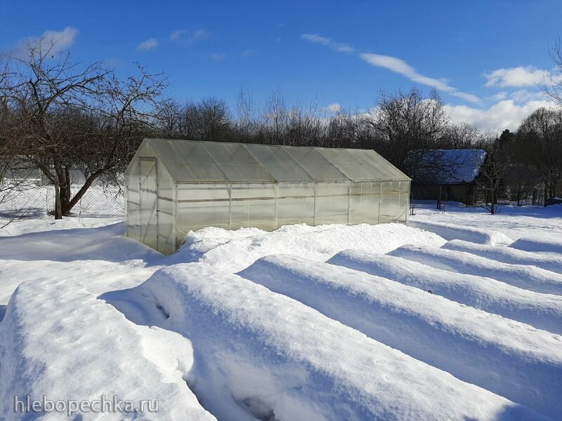 Кафе «У пани Сони»