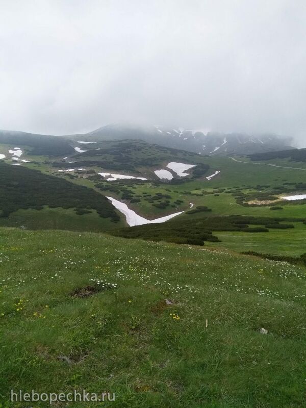 Чайная беседка