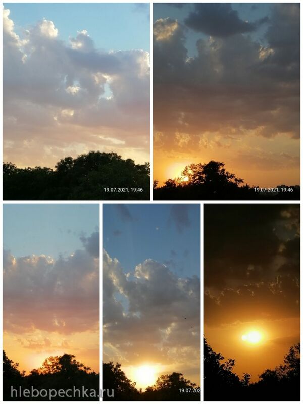 Такое разное небо