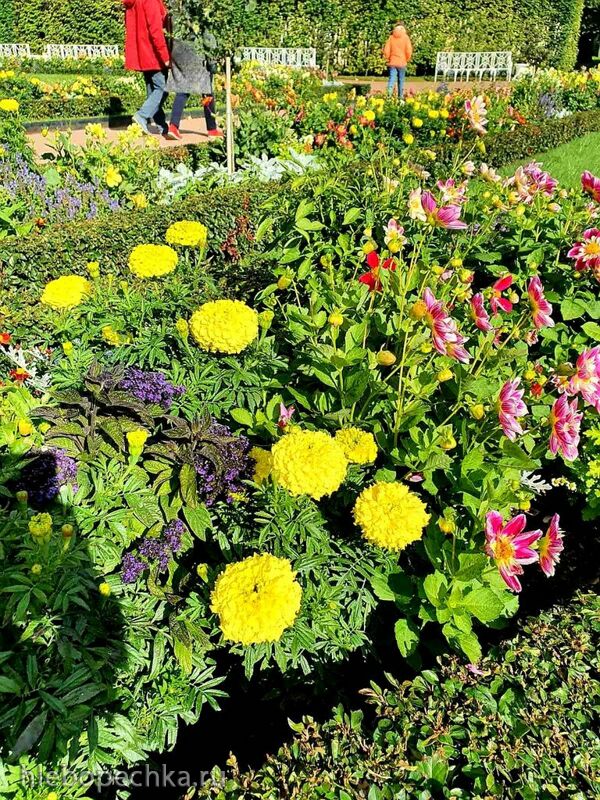 Чайная беседка