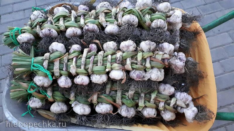 Чайная беседка