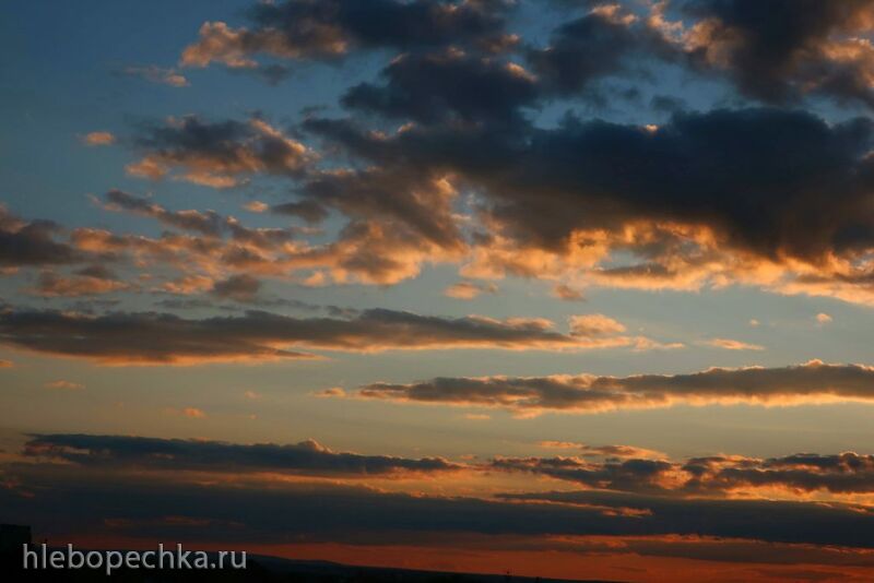 Чайная беседка