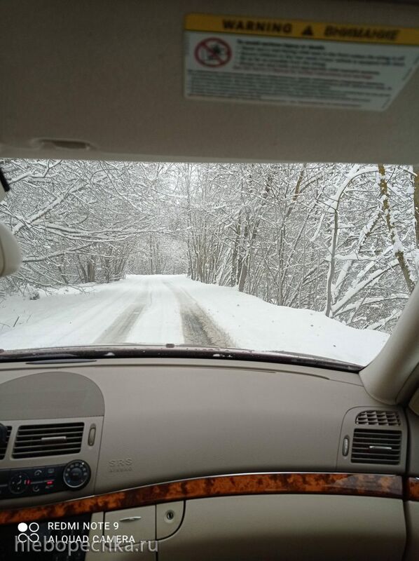 Tapтaлeтки & Ко