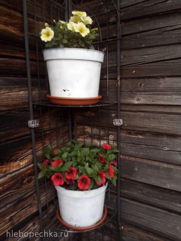 Чайная беседка