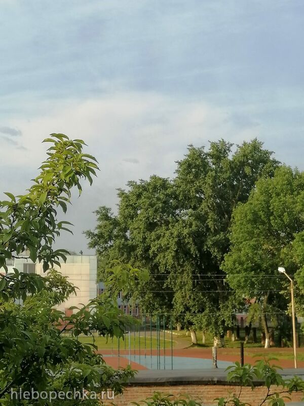 Чайная беседка