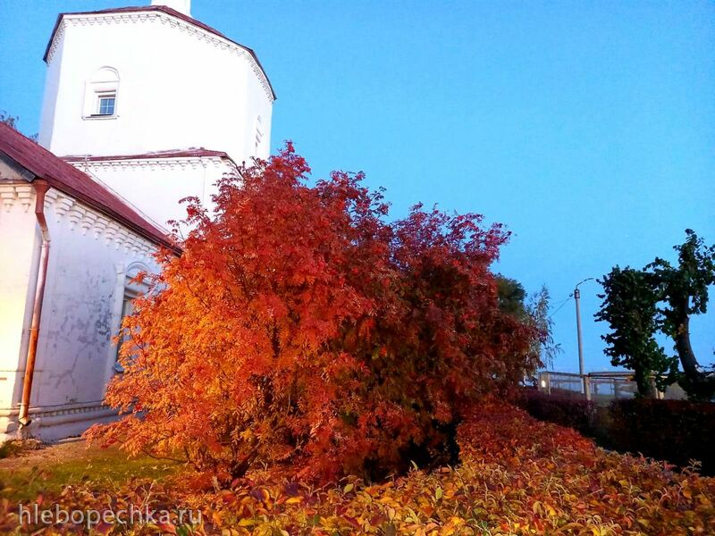 Чайная беседка