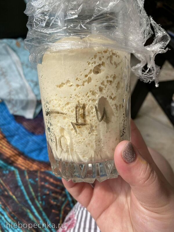 Итальянская закваска (Levito madre) - выращивание и уход