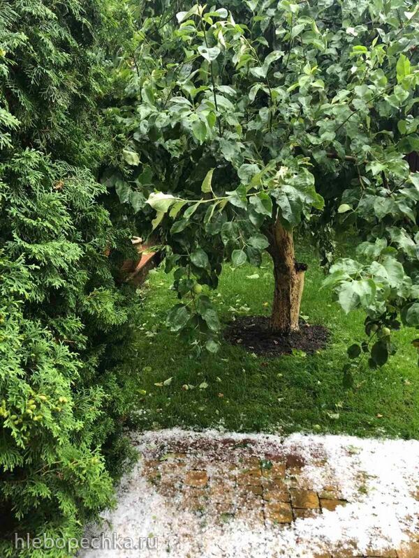 Чайная беседка