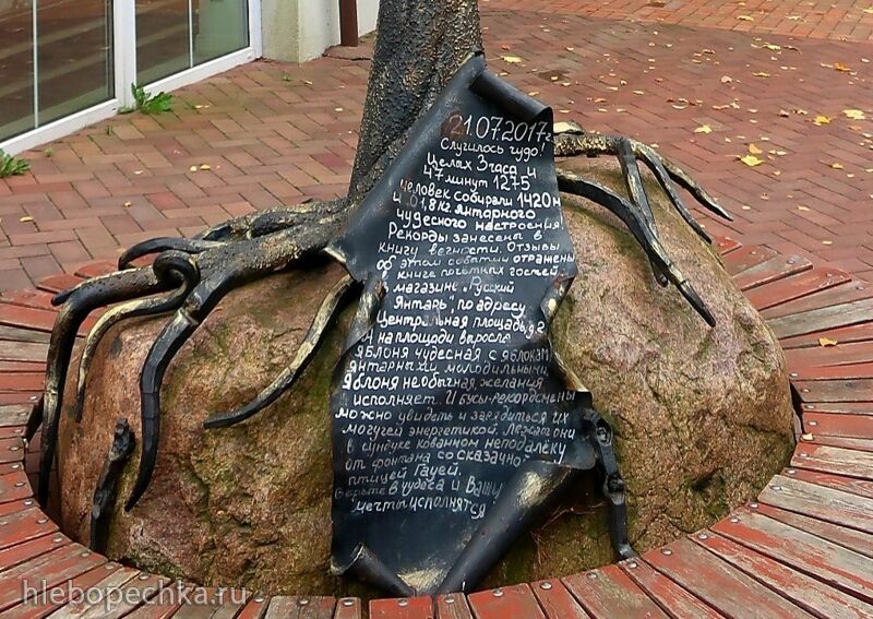 Ну здравствуй, Калининград! 35 лет спустя