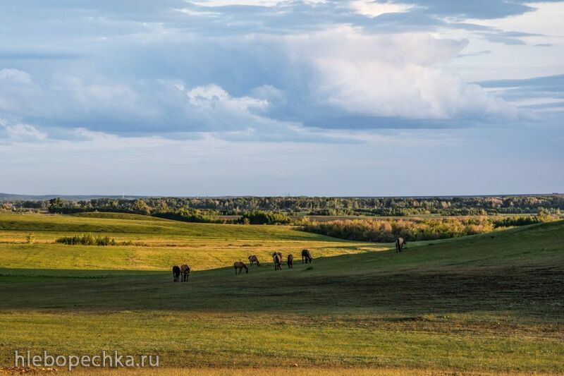 Фотонастроение