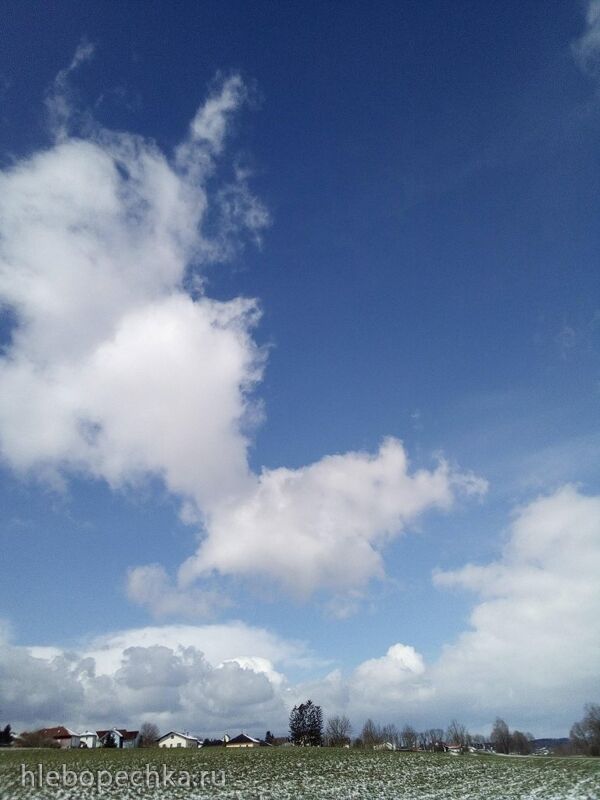 Tapтaлeтки & Ко