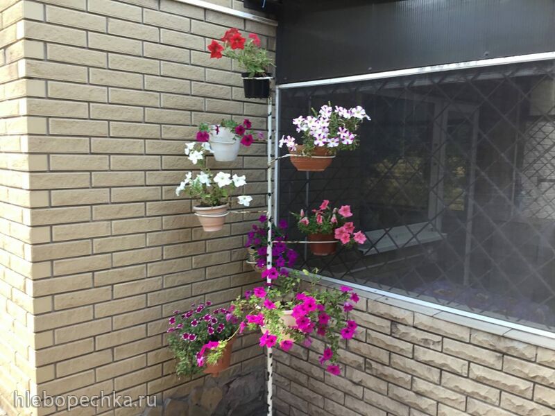 Чайная беседка