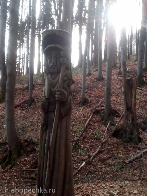 Чайная беседка