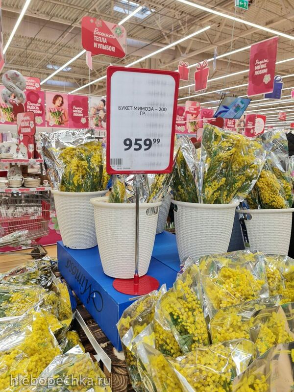 Где, что и когда купить в Москве