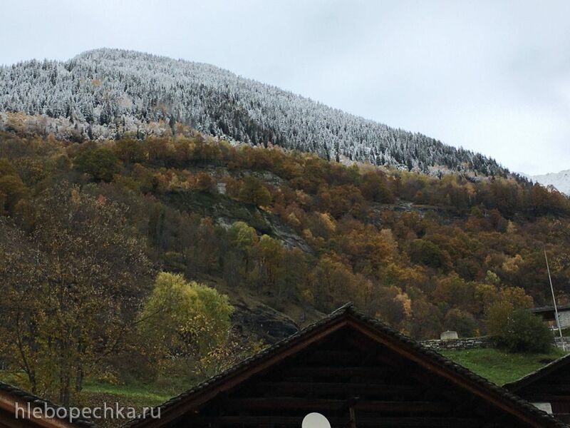 Чайная беседка