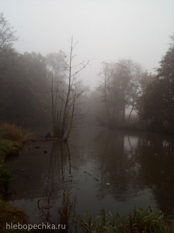 Чайная беседка