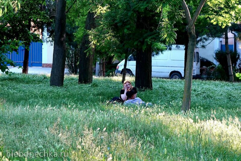 Tapтaлeтки & Ко