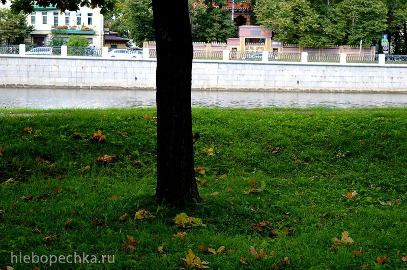 Прогулка по Санкт Петербургу (фотоотчет).