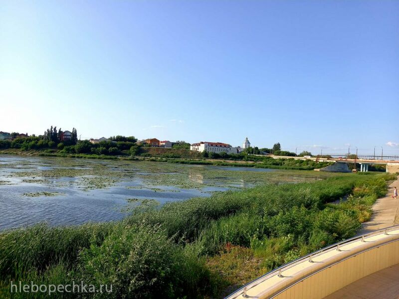 Чайная беседка