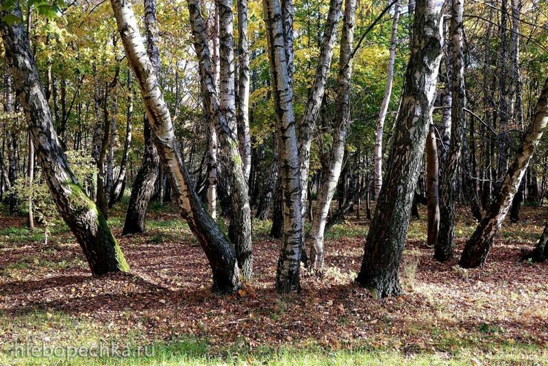 Ну здравствуй, Калининград! 35 лет спустя