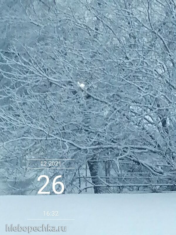 Чайная беседка