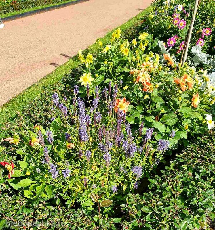 Чайная беседка