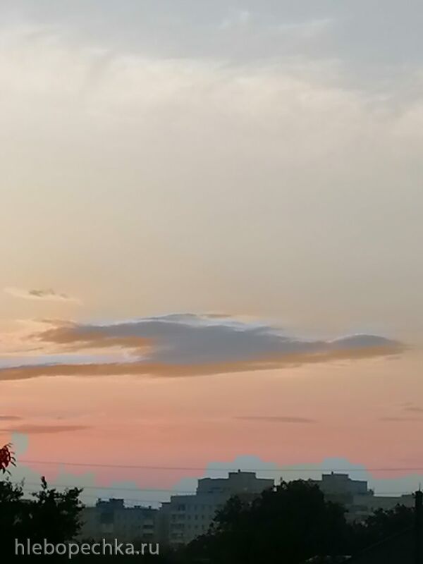 Чайная беседка