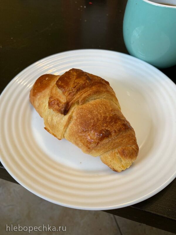 Итальянская закваска (Levito madre) - выращивание и уход