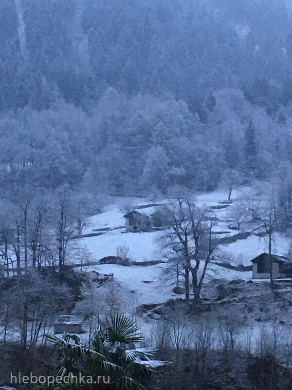 Чайная беседка