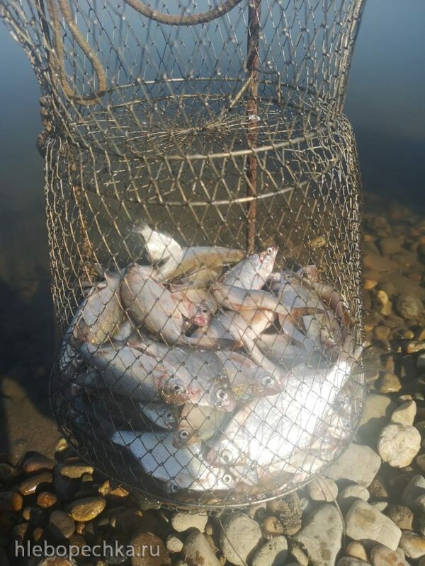 Чайная беседка