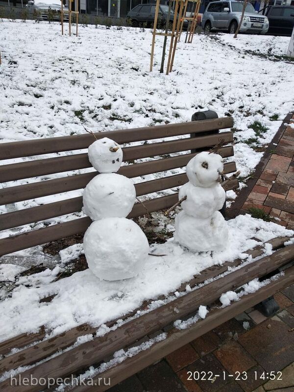 Кафе «У пани Сони»