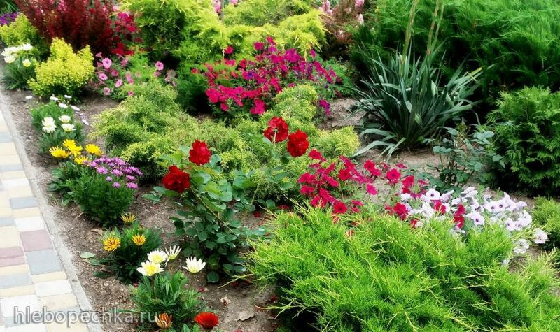 Чайная беседка