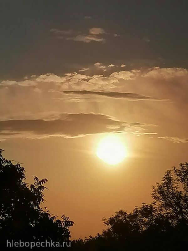 Чайная беседка