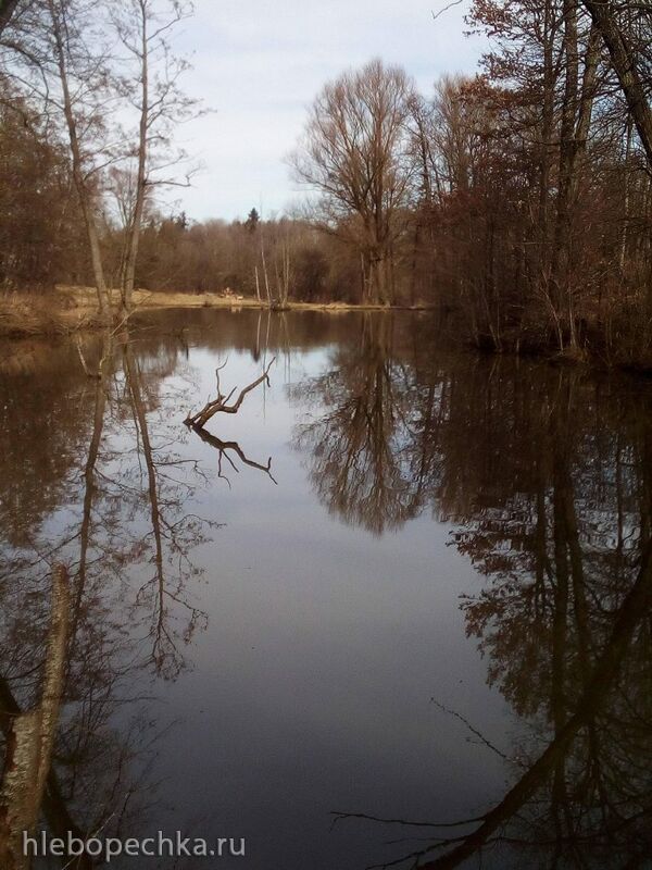 Tapтaлeтки & Ко