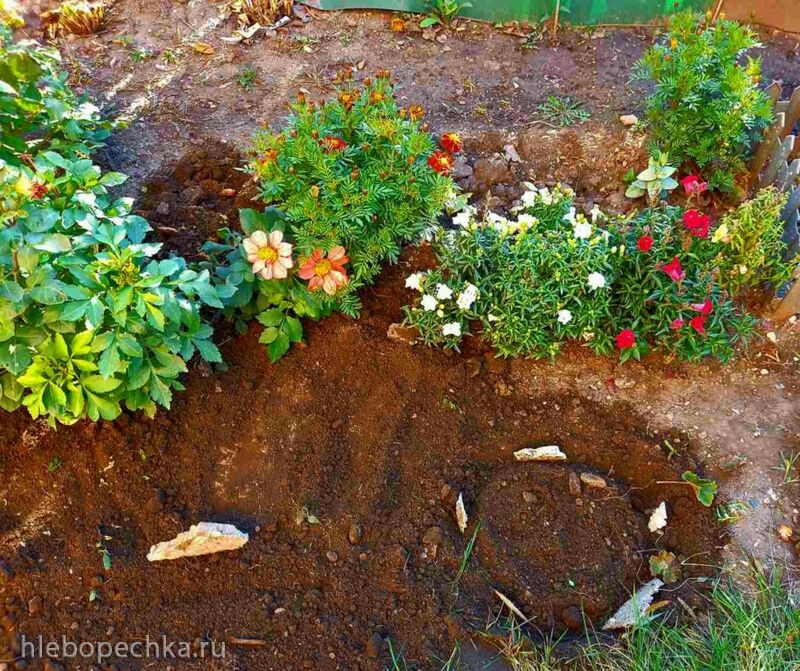 Чайная беседка