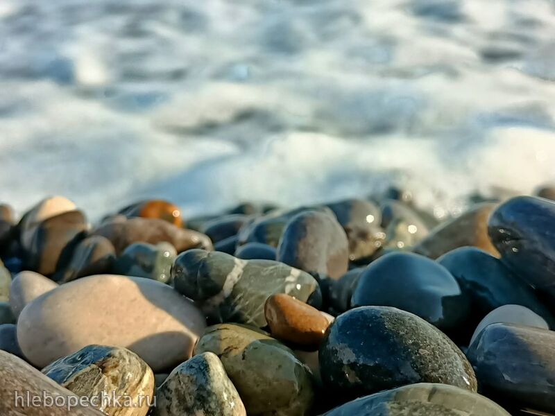 Tapтaлeтки & Ко