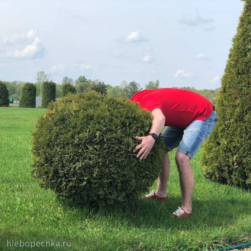 Tapтaлeтки & Ко