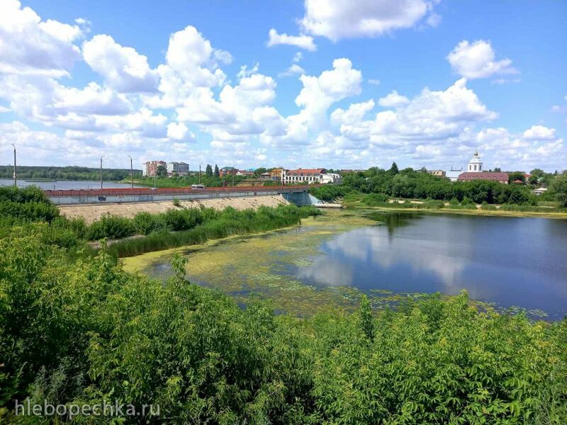 Чайная беседка