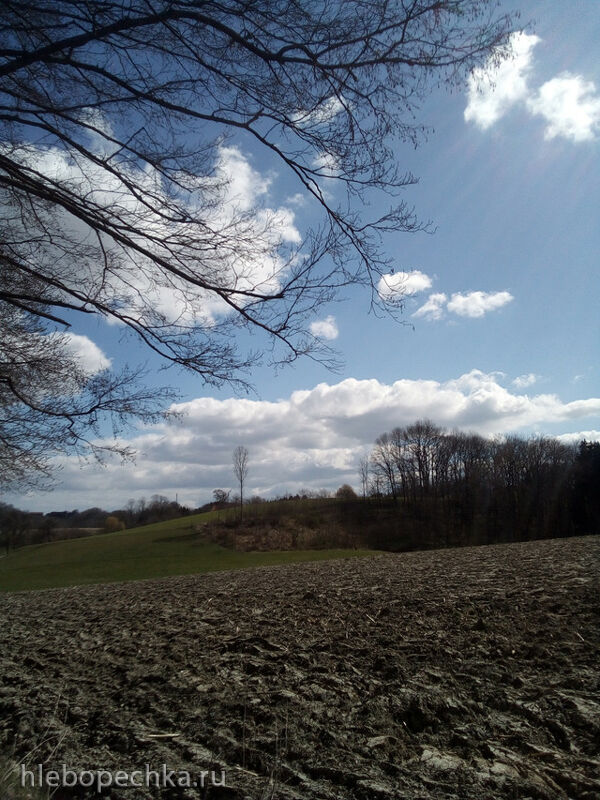 Tapтaлeтки & Ко