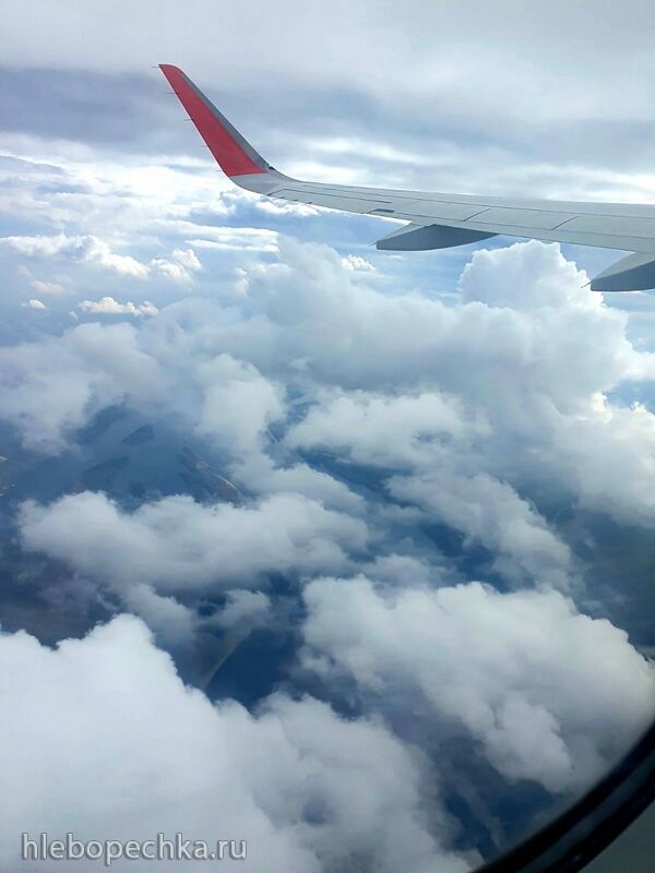 Чайная беседка