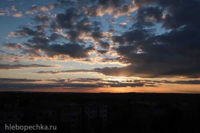 Чайная беседка