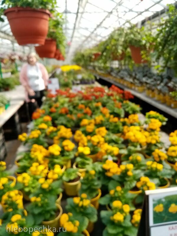 Чайная беседка