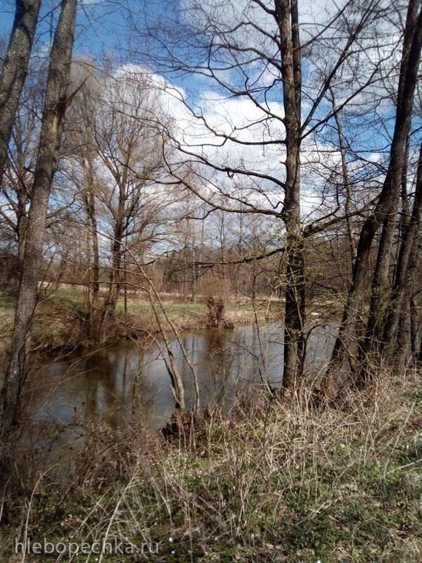 Tapтaлeтки & Ко