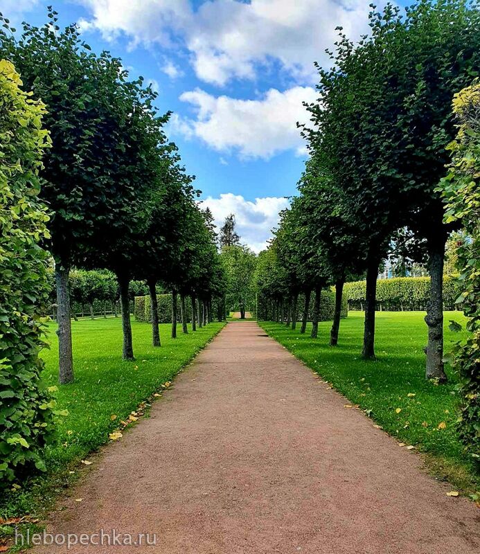 Чайная беседка